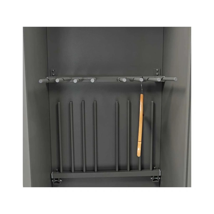 Шкаф сушильный Dryer 1851